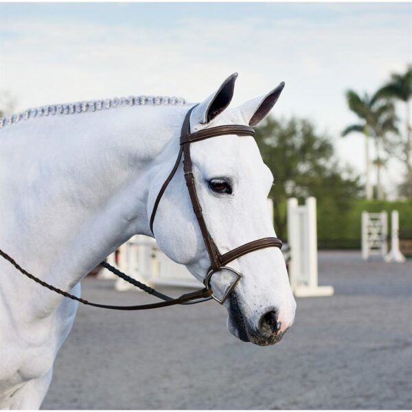 English Bridles