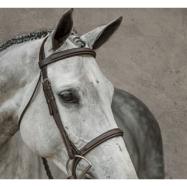 English Bridles