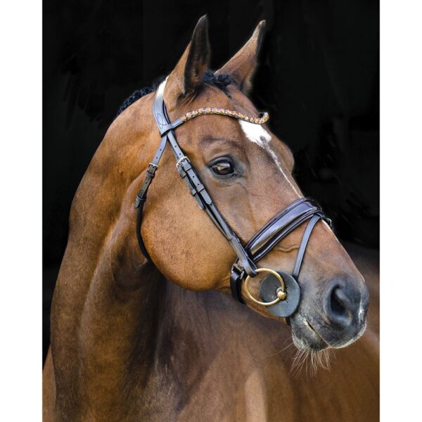 English Bridles