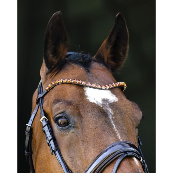 English Bridles