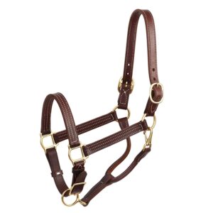 Halters & Leads