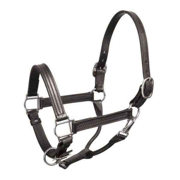 Halters & Leads