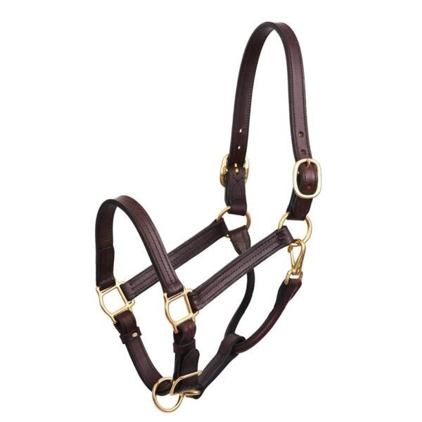 Halters & Leads