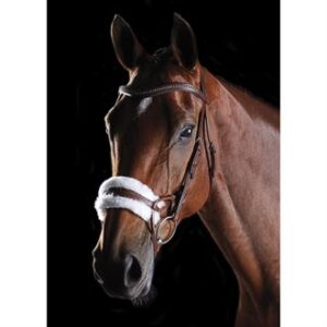 Nosebands