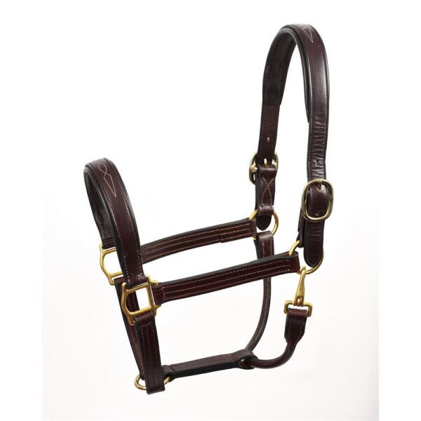 Halters & Leads