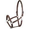 Halters & Leads