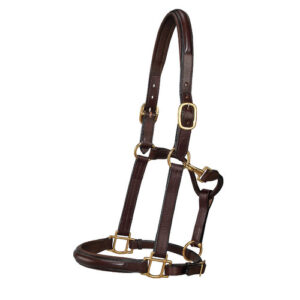 Halters & Leads