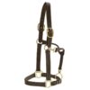 Halters & Leads