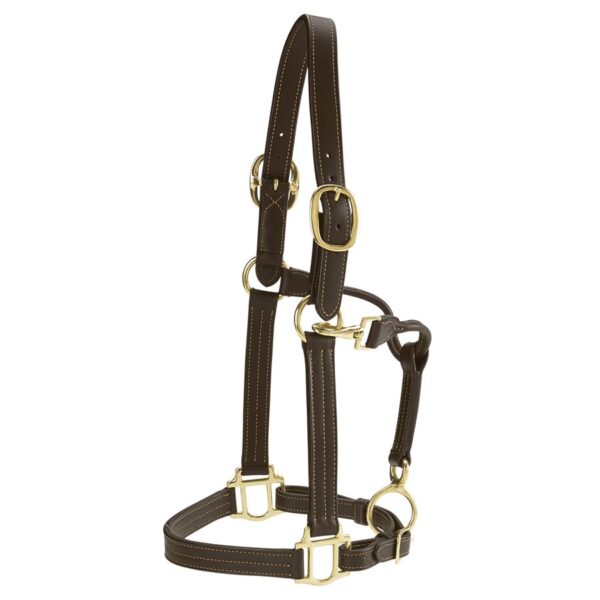 Halters & Leads