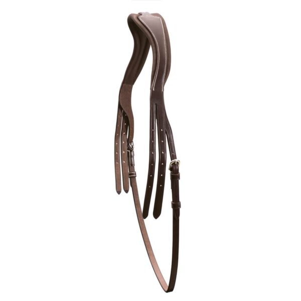 Bridle Parts & Accessories