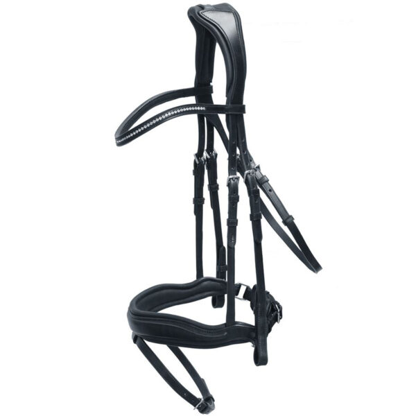 English Bridles